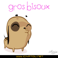 gros bisous pour toi !! 